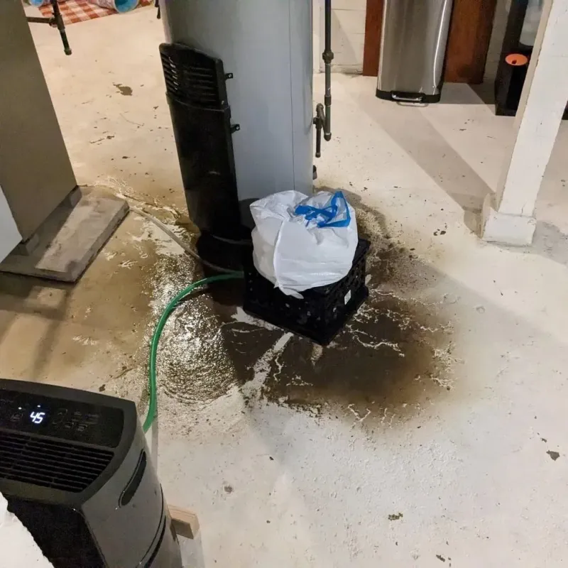 Sewage Backup Cleanup Service in Lexington Park, MD